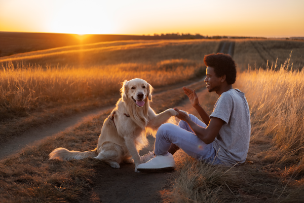 Pets That Stay in Our Hearts Forever