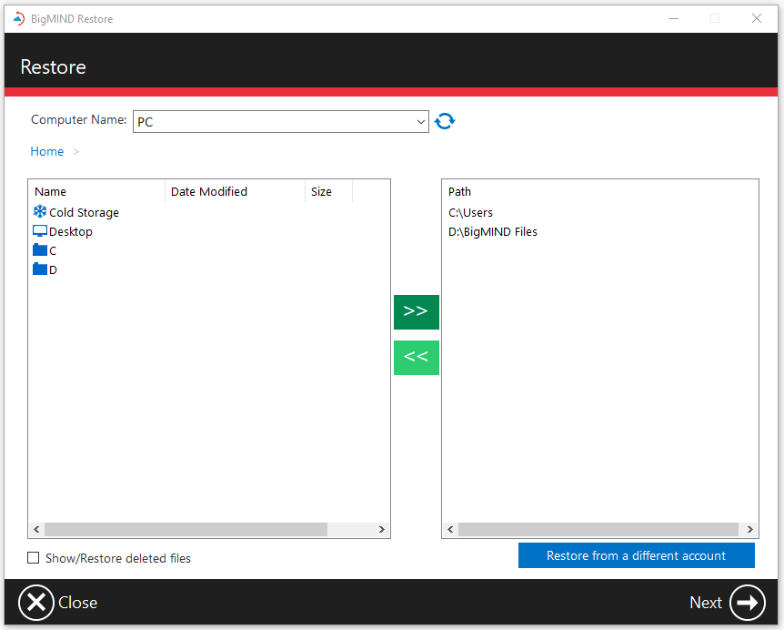 Restore from multiple directories