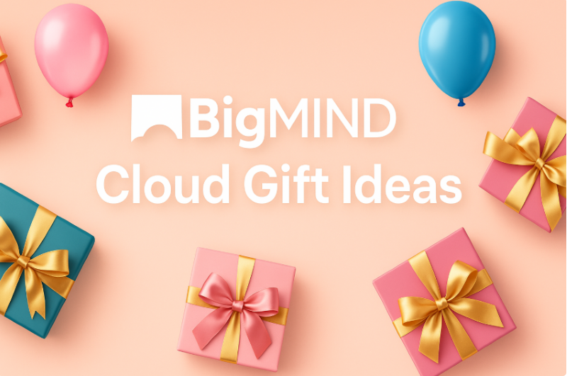 BigMIND Cloud Gift Ideas