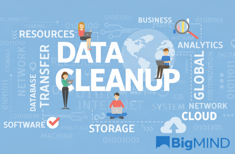 Data Cleanup